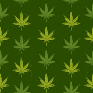 深綠色牆紙，帶有重複的破損大麻葉圖案。
