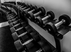 健身室內整齊排列的啞鈴架,黑白攝影風格。