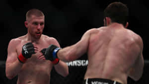 兩名男性MMA拳手在UFC八角籠內比賽中互相出拳。