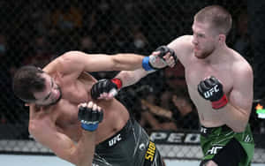 兩名戴著MMA手套的男性拳手在八角鐵籠內互相出拳。
