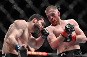 兩名男性MMA拳手在UFC比賽期間於八角籠內互相出拳。