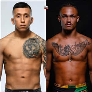 兩名赤裸上身的MMA拳手，胸前有紋身，在攝影棚擺姿勢
