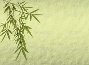 竹葉在帶紋理的綠色背景上