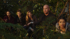 五個人蹲在茂密樹葉中，表情嚴肅，黃昏時分。 — 明日世界 壁紙