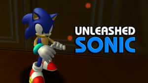 Sonic the Hedgehog 角色以遊戲姿勢呈現，附有文字。