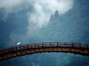 在霧濛濛的森林山脈中，一個人撐著白色雨傘過木橋。