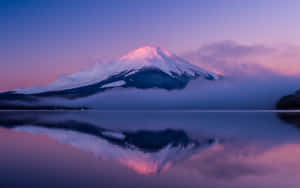 富士山在黎明時分倒映在湖中，天空呈現粉紅色和紫色