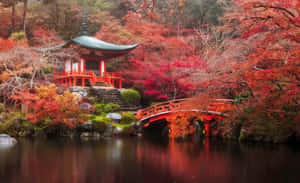紅色橋樑和寺廟被秋樹環繞，倒映在水中。