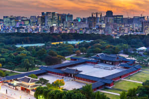 夕陽下，樹木環繞的古老韓國宮殿，背景是現代城市天際線。 — 韓國 壁紙