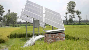 太陽能板為稻田中的水泵供電。