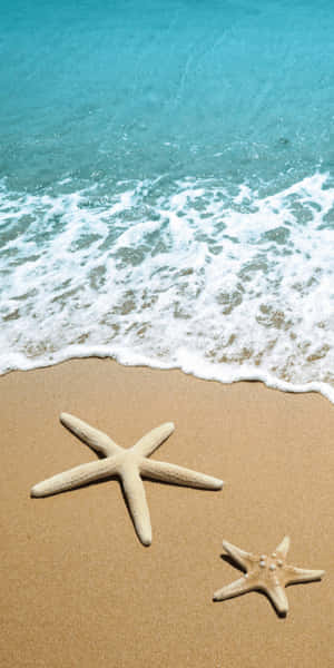沙灘上的兩隻海星，碧綠色的海浪翻滾。