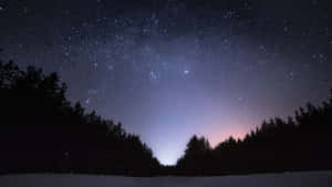 星空下帶有極光輝映的雪地森林