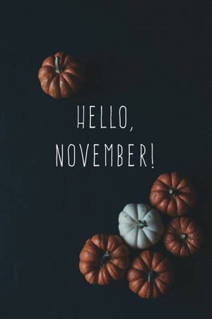 五個南瓜，深色背景上有 hello november 文字