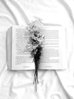 白色布料上打開的書上的乾花 — 白色美學gif 壁紙