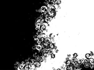 黑白裝飾漩渦和花卉圖案在對比背景上。 — 黑白藝術 壁紙