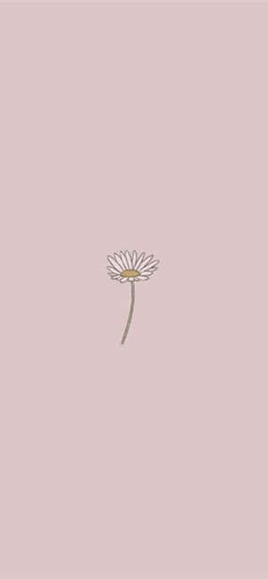在柔和的紫紅色背景上，一朵精緻的線條雛菊。 — Galaxy Note 壁紙