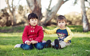 兩個年幼的孩子坐在公園的草地上，身後有樹木。 — 草 壁紙