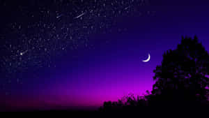 紫色夜空有星星流星和彎月在樹剪影上方 — 夜空 壁紙