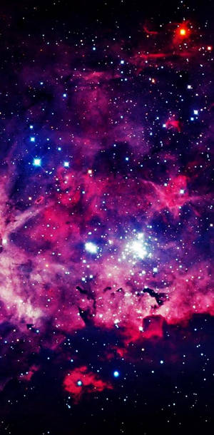 在深空中充滿明亮星星的充滿活力的粉紅色、紫色和藍色星雲。 — 星星 壁紙