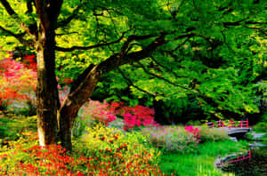 在色彩繽紛的日本庭園中，一座紅色小橋橫跨溪流，鮮花盛開，綠樹成蔭。 — Surface Pro 壁紙