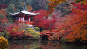 紅橋和亭閣被秋葉環繞，倒映在水中