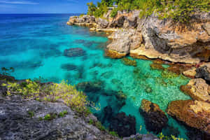 碧綠的海水繞過長滿綠色植物的岩石懸崖流動。 — 牙買加海灘 壁紙