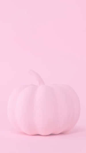 一個淡粉紅色南瓜放在純色粉紅色背景上，光線柔和。