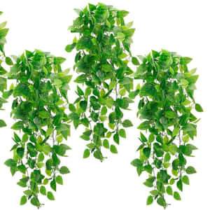 茂密的綠色人造常春藤藤蔓以密集的簇狀懸掛。 — 植物美學 壁紙