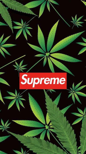 黑色背景上的綠色大麻葉和紅色Supreme標誌。 — 莉貝·黑色五葉草 壁紙