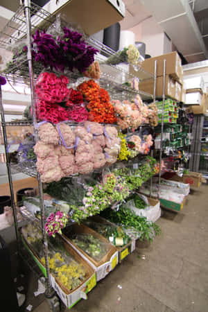 零售花店中金屬架上擺滿色彩繽紛的包裝花束。 — iPhone Duo 壁紙