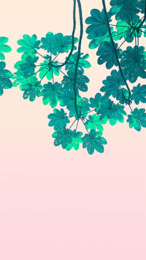 青綠色葉子懸掛在粉紅色漸變背景前。 — 極簡美學 壁紙