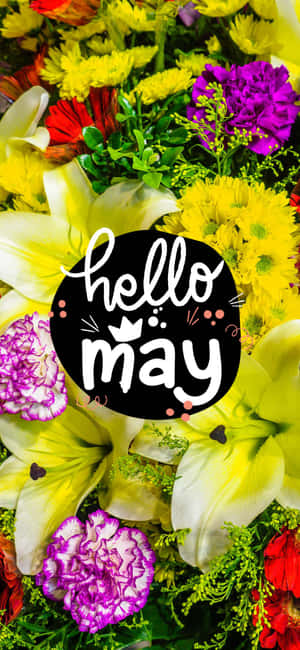 Hello May 文字在一個黑色圓圈內，周圍環繞著色彩繽紛的春季花朵。 — iPhone 14 Pro 壁紙
