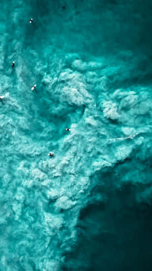 從上方觀看衝浪者在碧綠海浪上衝浪