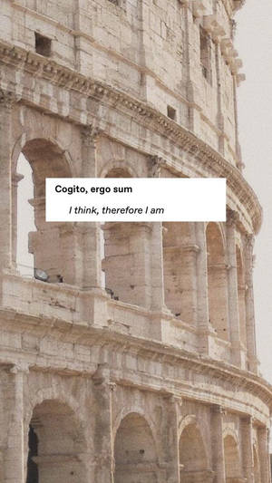 鬥獸場特寫，文字疊加顯示「Cogito ergo sum」和「I think therefore I am」。