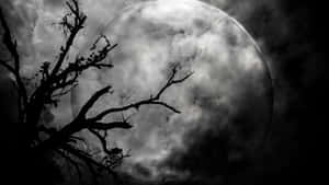在黑暗的夜空中，樹枝的剪影映襯著巨大的多雲月亮。 — 暮光 壁紙