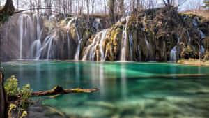 瀑布流入碧綠湖泊，四周環繞著光禿的樹木。 — 湖景 壁紙