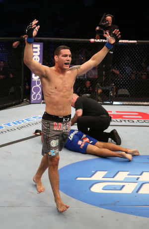 MMA拳手在八角籠中慶祝擊敗倒下的對手。