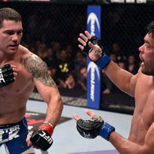兩名男性MMA拳手在籠中進行激烈比賽。