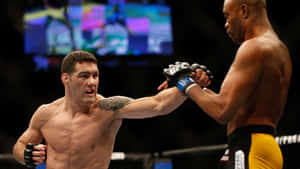 兩名MMA拳手在八角籠中互相出拳。