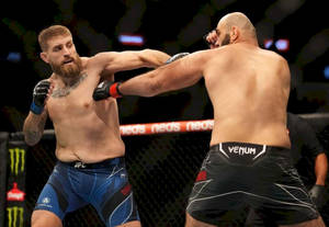 兩名男性MMA拳手在鐵籠賽中互相出拳。