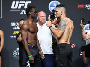 兩位赤膊的MMA拳手在UFC稱重中互相凝視。