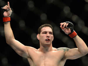 MMA選手在八角籠中高舉雙臂慶祝勝利。