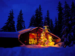 舒適的小屋，在雪地冬季森林中夜晚有發光的聖誕樹。