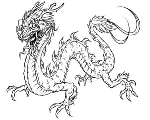 一幅風格化的黑白龍插圖，帶有鋒利的爪子和飄逸的鬃毛。 — 5:4 壁紙