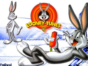 賓尼兔拿著胡蘿蔔，達菲鴨在Looney Tunes標誌旁。