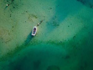 一艘白色小船漂浮在清澈的碧綠海水上，露出沙質海床和珊瑚斑塊。 — 綠色動態圖 壁紙