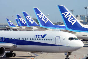 一排ANA飛機停在機場停機坪，背後是城市天際線。