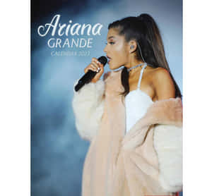 Ariana Grande 在舞台上穿著粉紅色皮草外套，手持咪高峰表演。