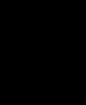 全黑畫面，無可見內容