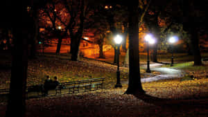 夜晚，兩個人坐在公園長椅上，在街燈下被落葉包圍。 — 美麗的日落動畫 壁紙
